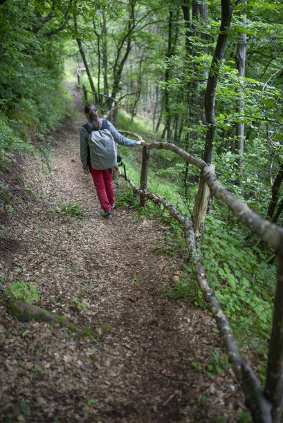 活力步调欢快向前跑