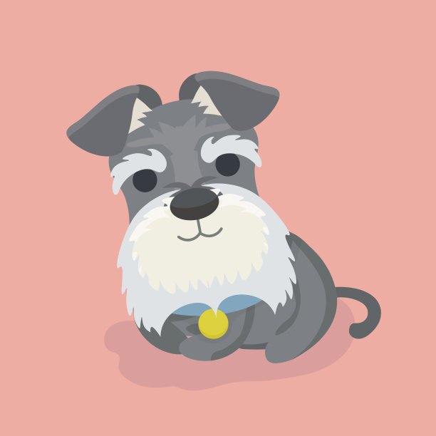 schnauzer