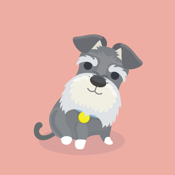 schnauzer