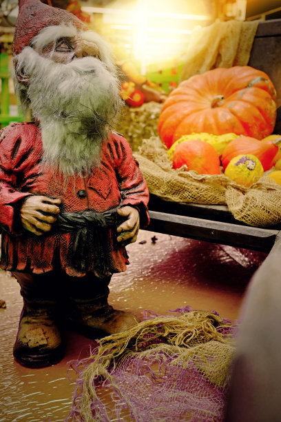 gnome