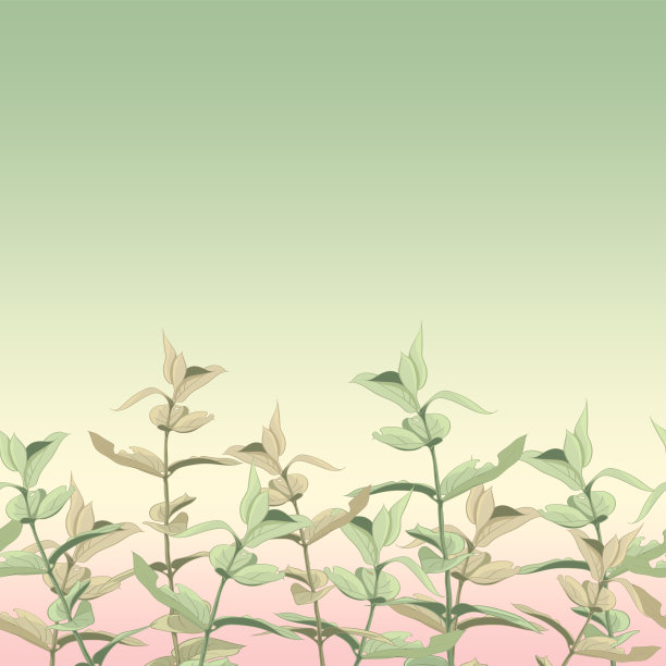 常春藤,清新,背景分离