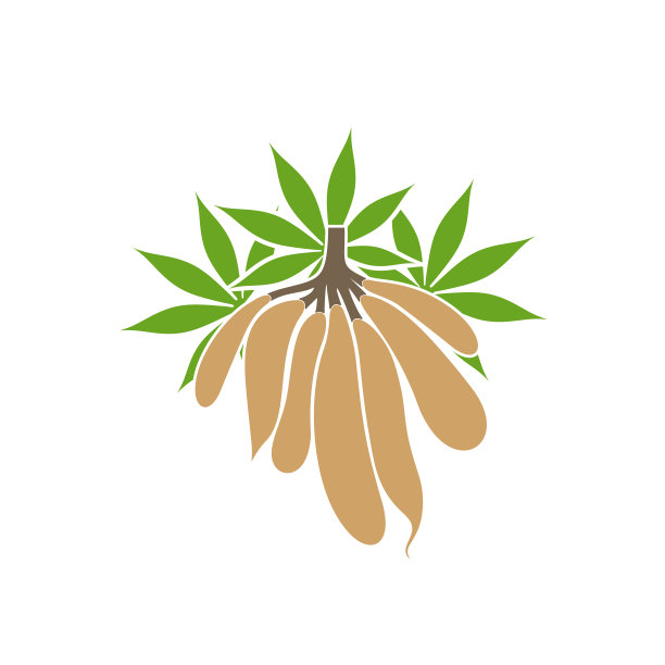 矢量土豆插画