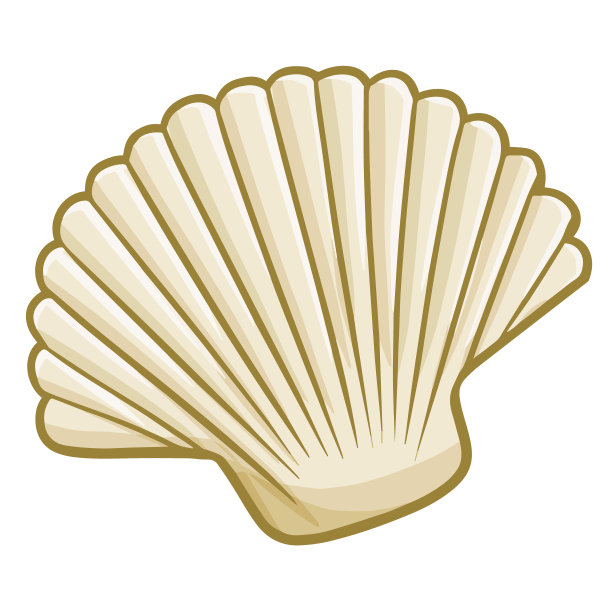seashell