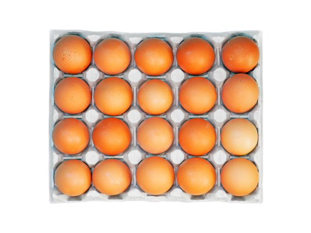 萌鸡蛋