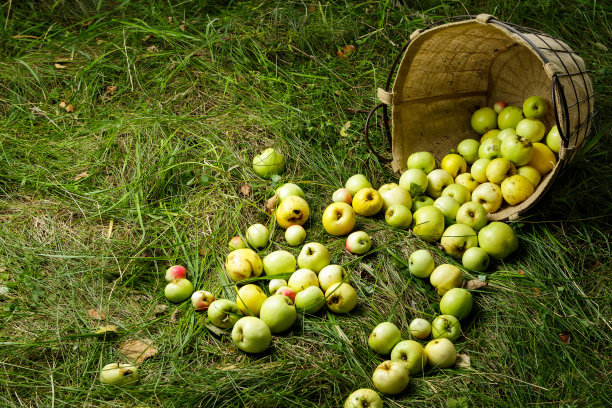 堆放着一堆苹果
