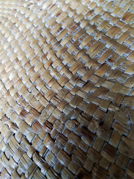 竹子壁纸