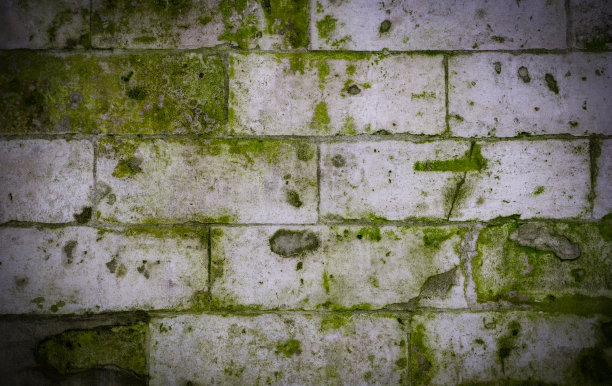 石壁与绿植