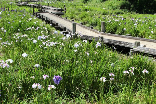 春夏秋冬水墨画