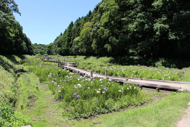 春夏秋冬水墨画