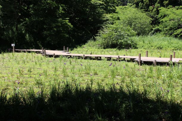 春夏秋冬水墨画