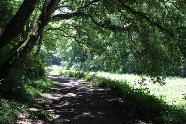 春夏秋冬水墨画