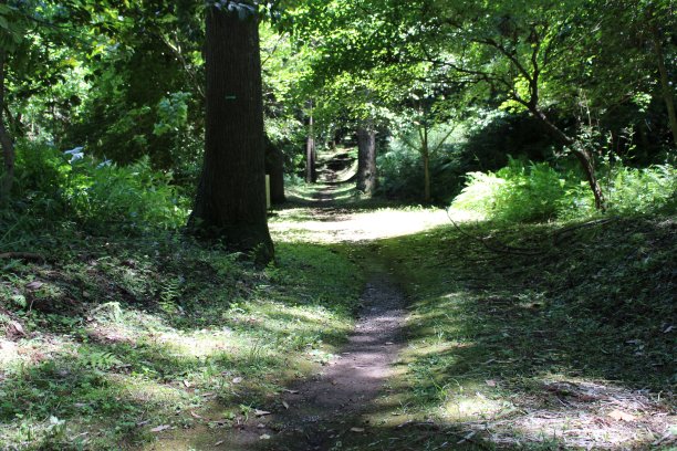 春夏秋冬水墨画