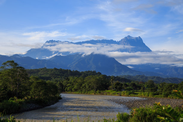 borneo