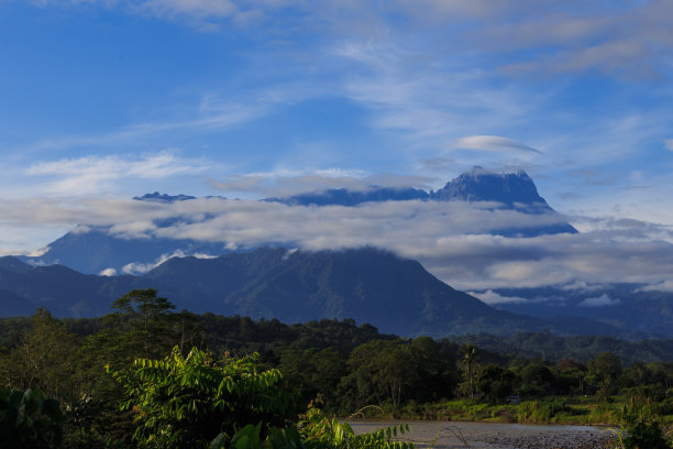 borneo