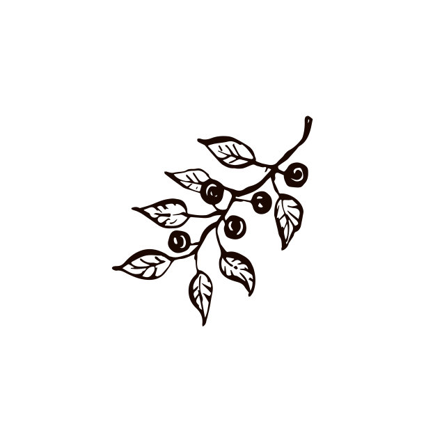 草图,乱画,墨水