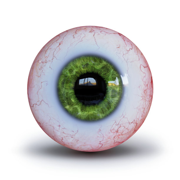 圆球眼睛