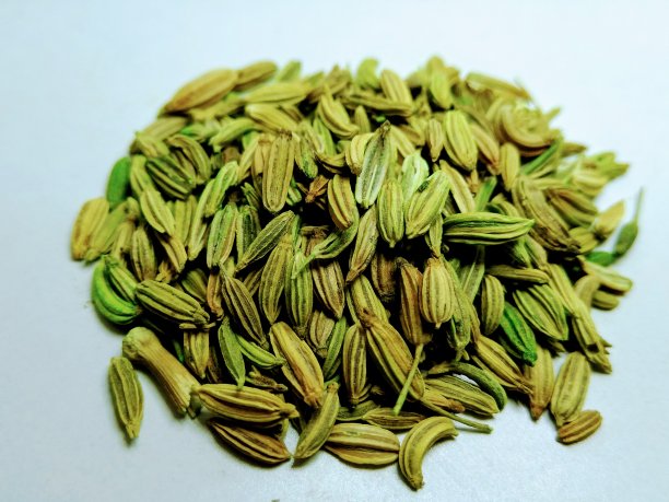 fennel