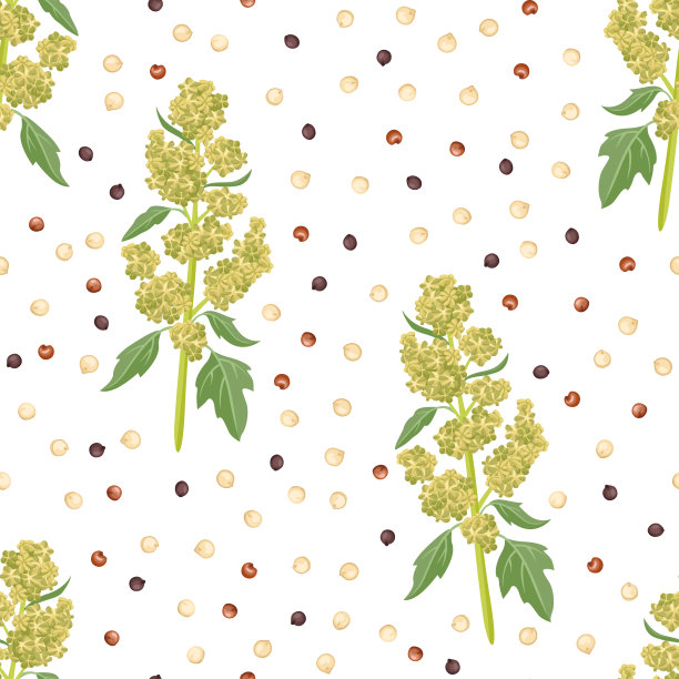quinoa