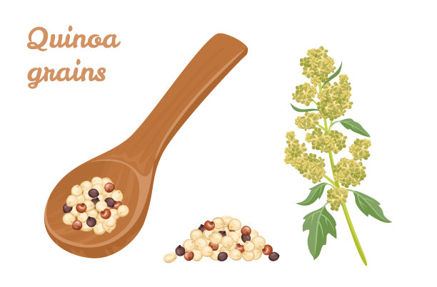 quinoa