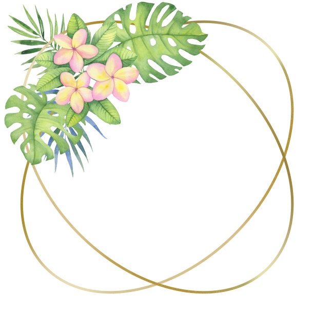 精美绿色圆形几何花纹图案