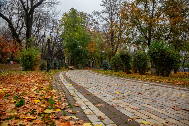 ukraine