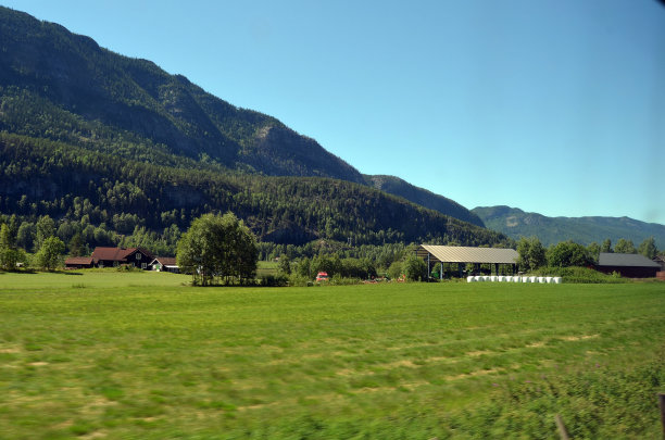 flam