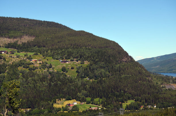 flam
