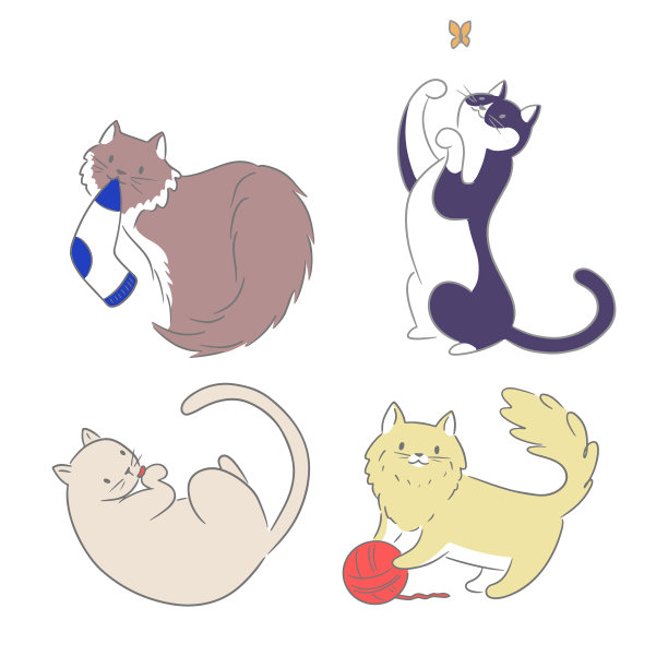 曼彻堪猫,可爱的,宠物