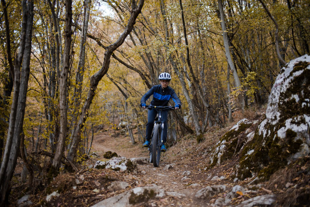 夏季运动会秋季运动会