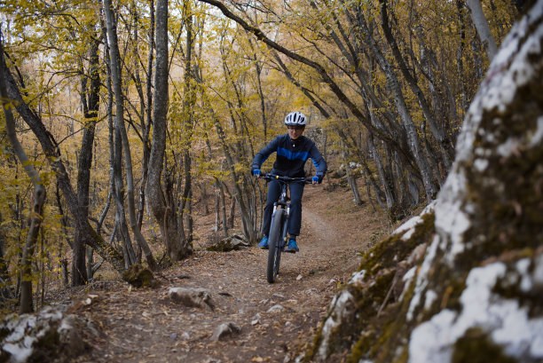 夏季运动会秋季运动会