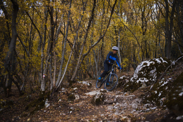 夏季运动会秋季运动会