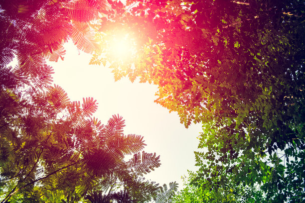 绿色发布会背景