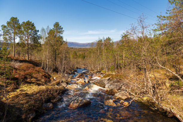 narvik