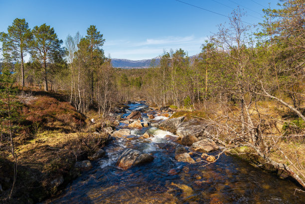 narvik
