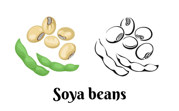 legume