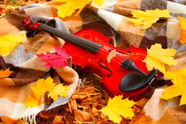 violin