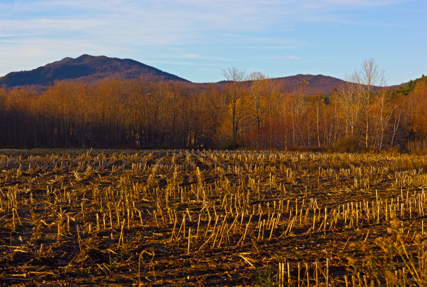stowe