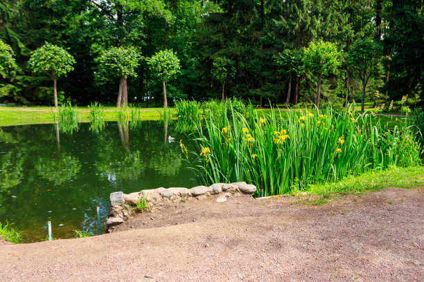 ponds