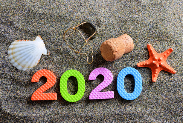 2020,海洋生命,新年前夕