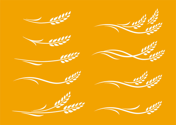 麦地logo