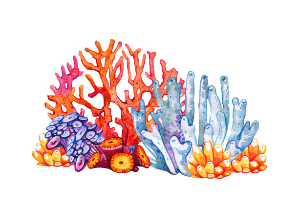 corals