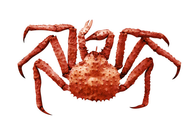 阿拉斯加帝王蟹