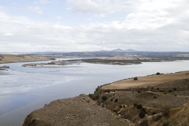 tagus