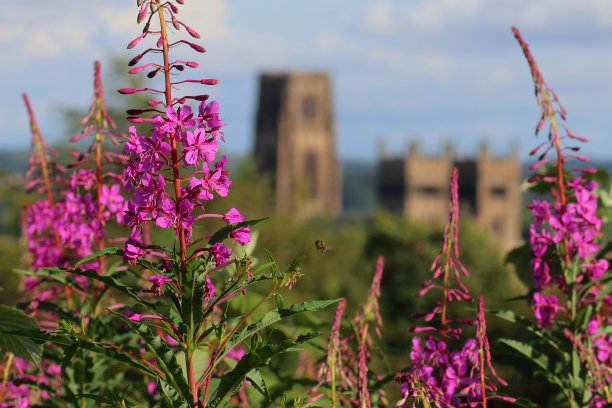 durham