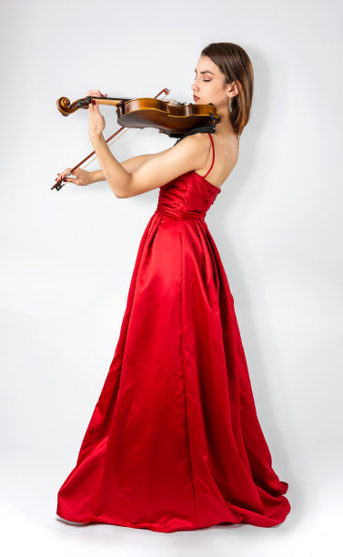 violin