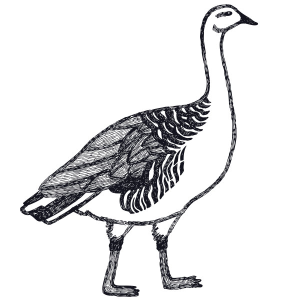 goose