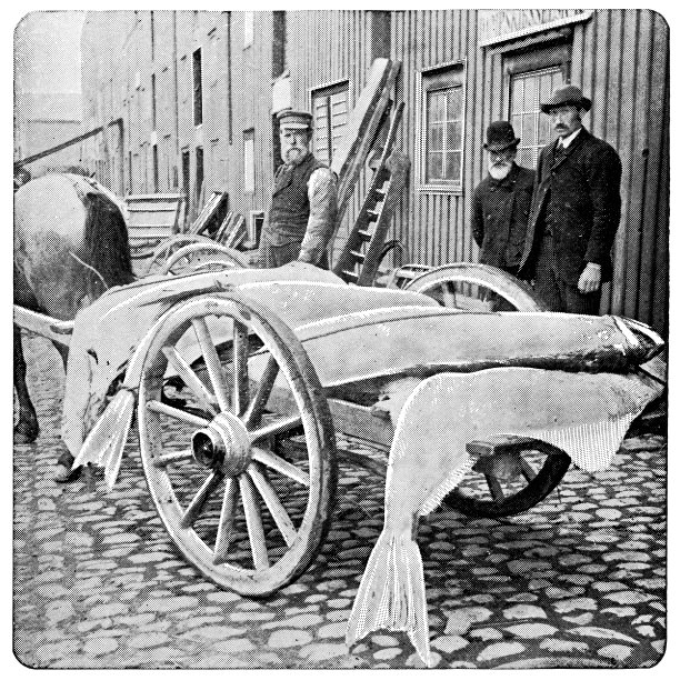 bryggen