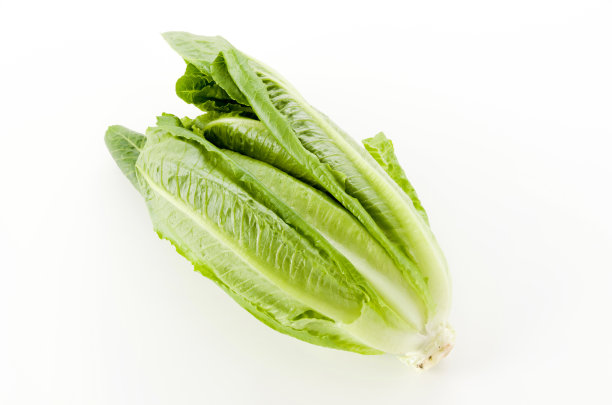 romaine
