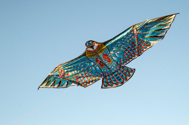 kite