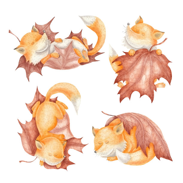 kit